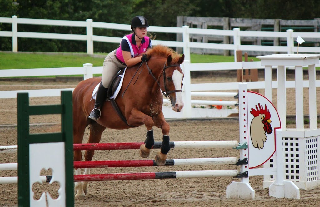 Whitchurch Riding Academy | 19480 McCowan Rd, Mount Albert, ON L0G 1M0, Canada | Phone: (905) 473-5260