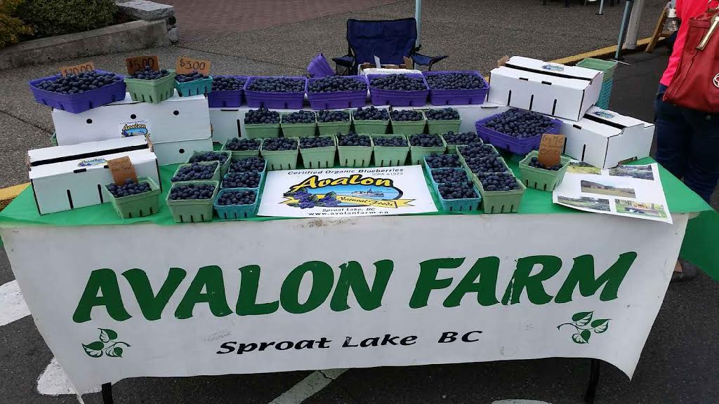 Avalon Blueberry Farm | 8286 Faber Rd, Port Alberni, BC V9Y 9B4, Canada | Phone: (250) 724-6821