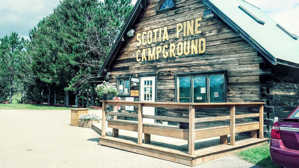 Scotia Pine Campground | 1911 Nova Scotia Trunk 2, Brookfield, NS B0N 1C0, Canada | Phone: (877) 893-3666