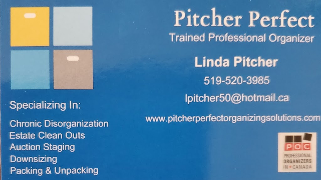 Pitcher Perfect | 31 Faith Blvd, St Thomas, ON N5R 6K2, Canada | Phone: (519) 520-3985