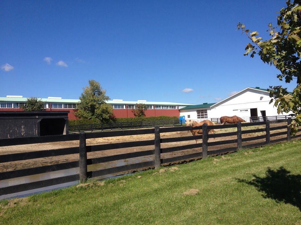 Halton Place Horse & Country | 9328 15 Side Rd, Milton, ON L9T 2X7, Canada | Phone: (905) 873-2316