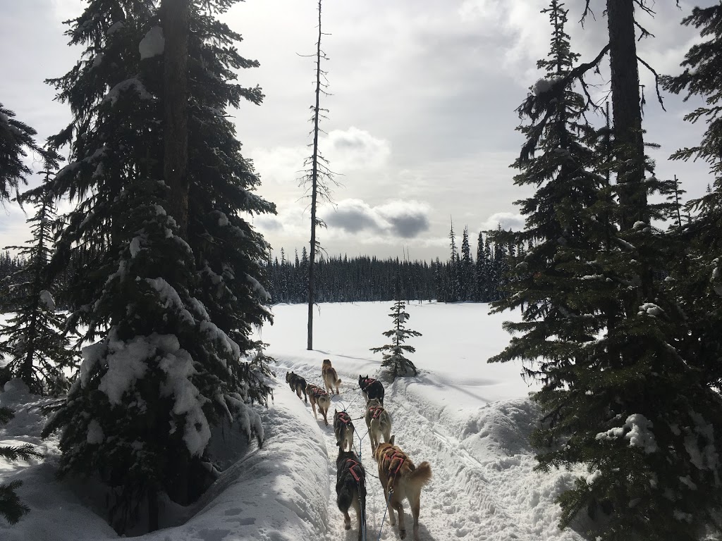 Mountain Man Dog Sled Adventures | 3250 Village Way, Sun Peaks, BC V0E 5N0, Canada | Phone: (250) 319-7205