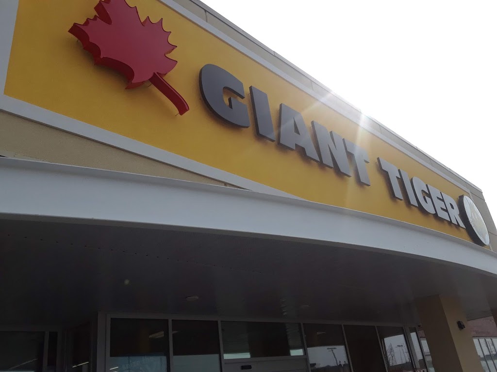 Giant Tiger | 1021 St. Laurent Blvd, Ottawa, ON K1K 3B1, Canada | Phone: (613) 748-1664