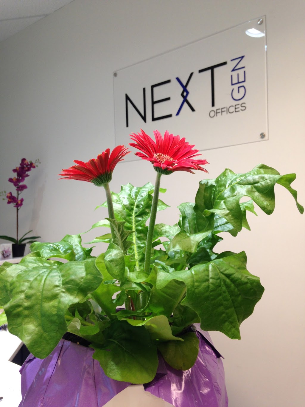 NextGen Offices | 4300 N Fraser Way, Burnaby, BC V5J 5J8, Canada | Phone: (236) 521-0124