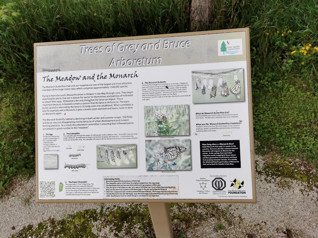 Grey Sauble Conservation Authority | 237897 Inglis Falls Rd, Owen Sound, ON N4K 5N6, Canada | Phone: (519) 376-3076