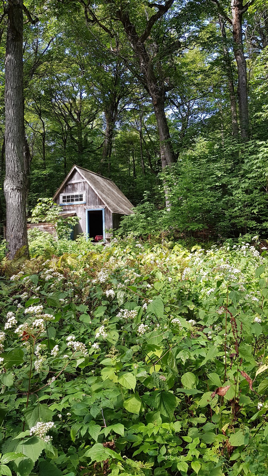 Réserve Naturelle Jean-Paul Riopelle | Saint-Antoine-de-lIsle-aux-Grues, QC G0R 1P0, Canada