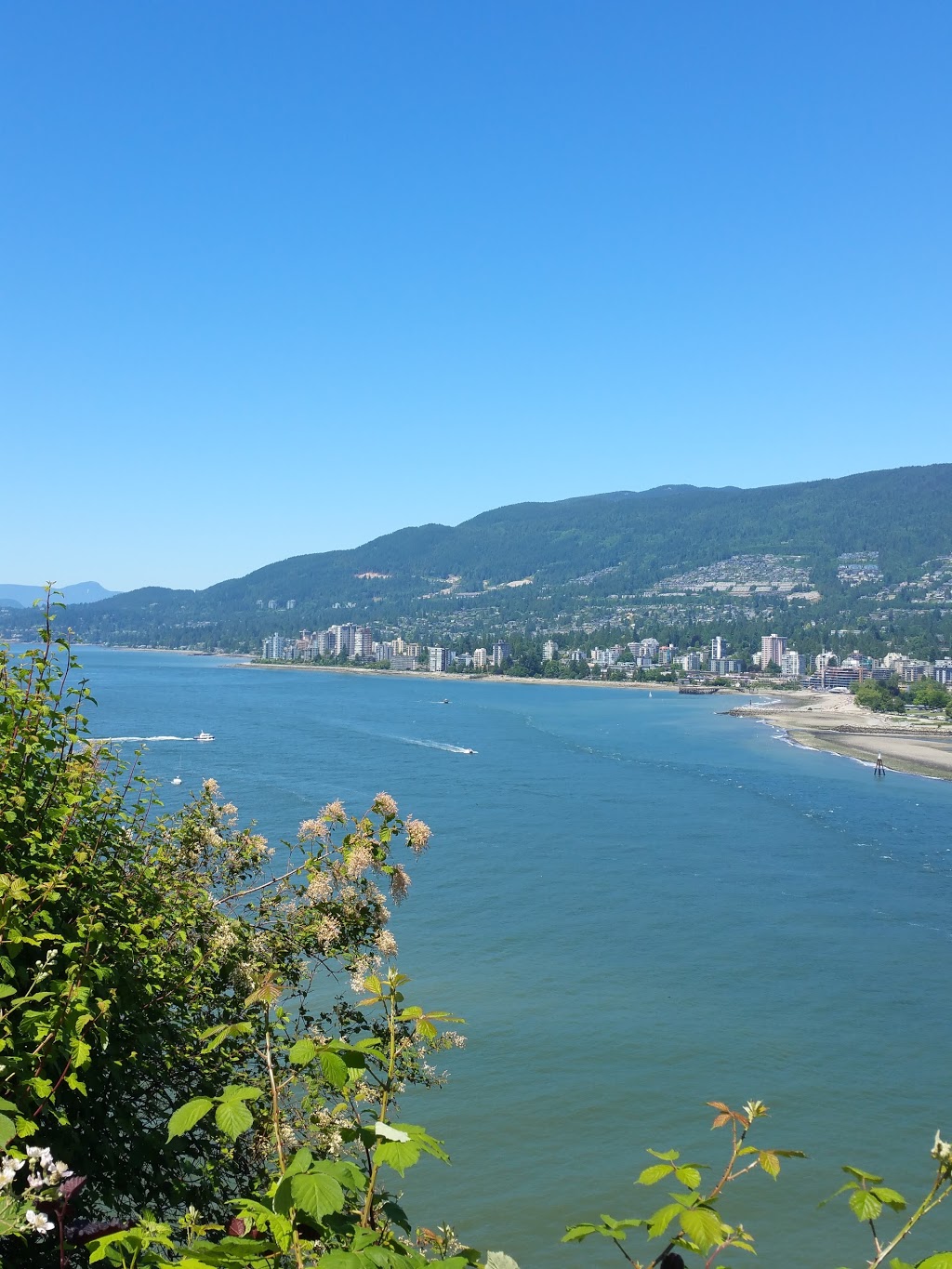 Prospect Point Picnic Area | 6200 Stanley Park Dr, Vancouver, BC V6G, Canada | Phone: (604) 873-7000