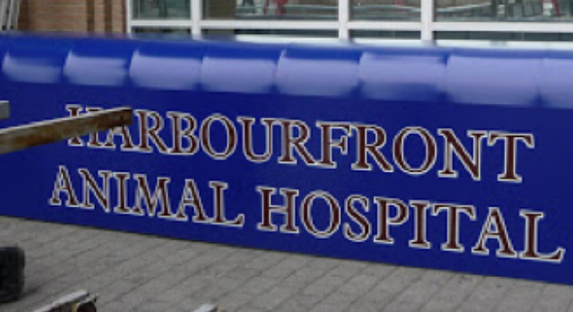 Harbourfront Animal Hospital | 370 Queens Quay W, Toronto, ON M5V 3J3, Canada | Phone: (416) 597-9494