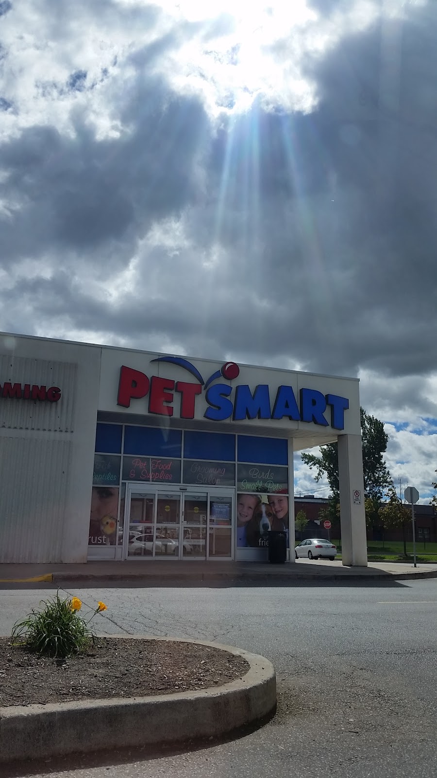 PetSmart | 547 Steeles Ave E, Brampton, ON L6W 4S2, Canada | Phone: (905) 874-9999