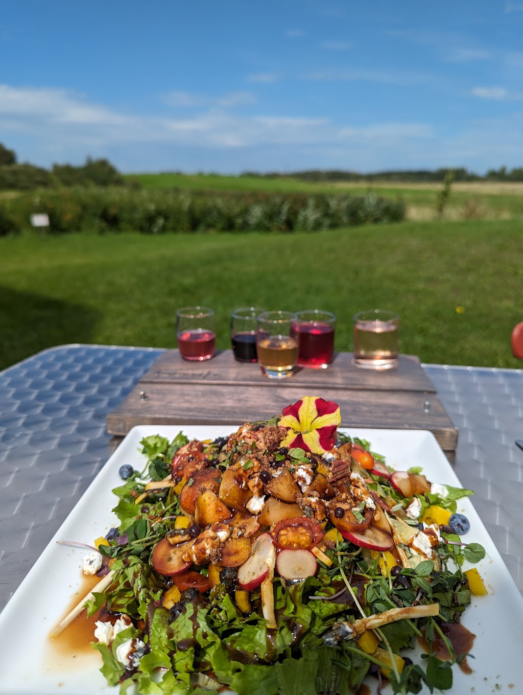 Vignoble Amouraska | 568 Rang St Charles O, Saint-Alexandre-de-Kamouraska, QC G0L 2G0, Canada | Phone: (418) 863-4496