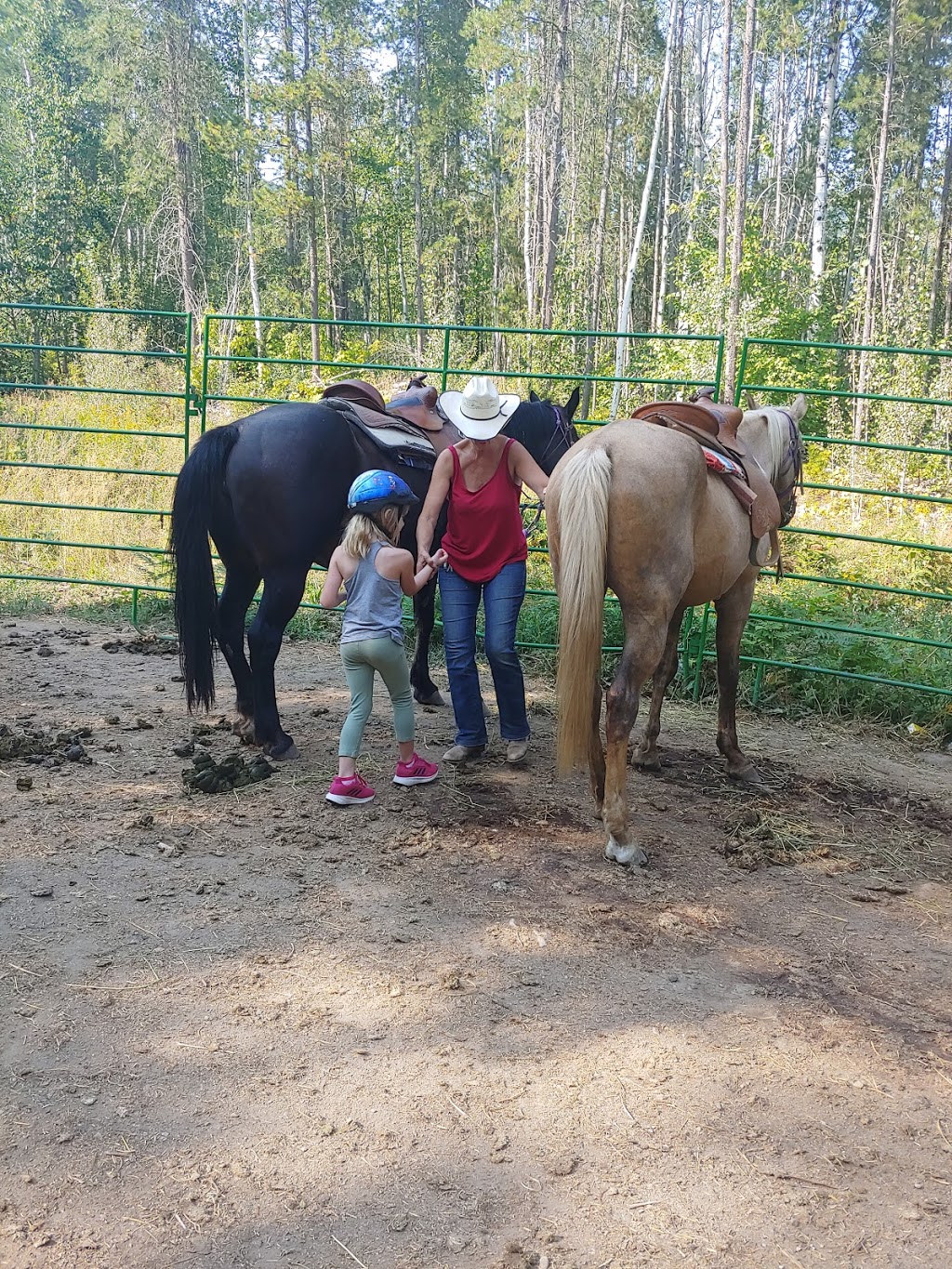 High Country Trail Rides | 1091 60 St NW, Salmon Arm, BC V1E 3B2, Canada | Phone: (250) 515-0667