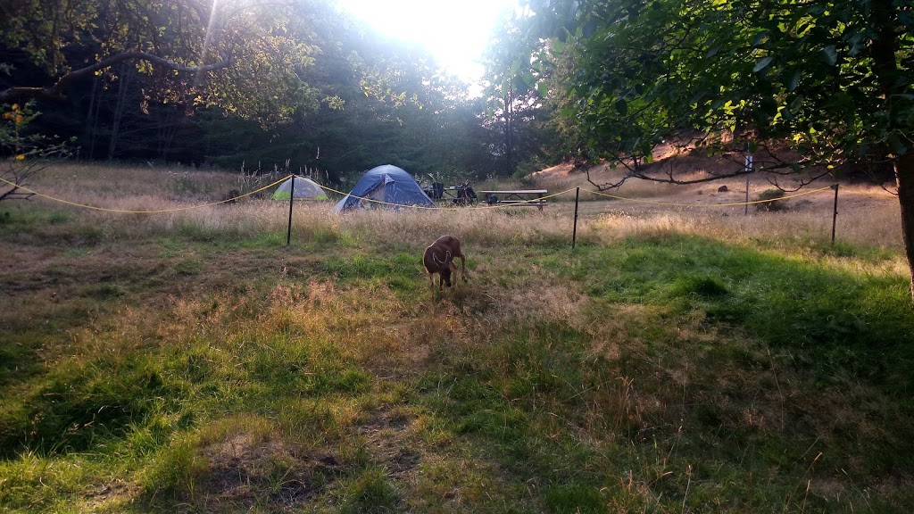 Narvaez Bay campsite | Saturna, BC V0N 2Y0, Canada