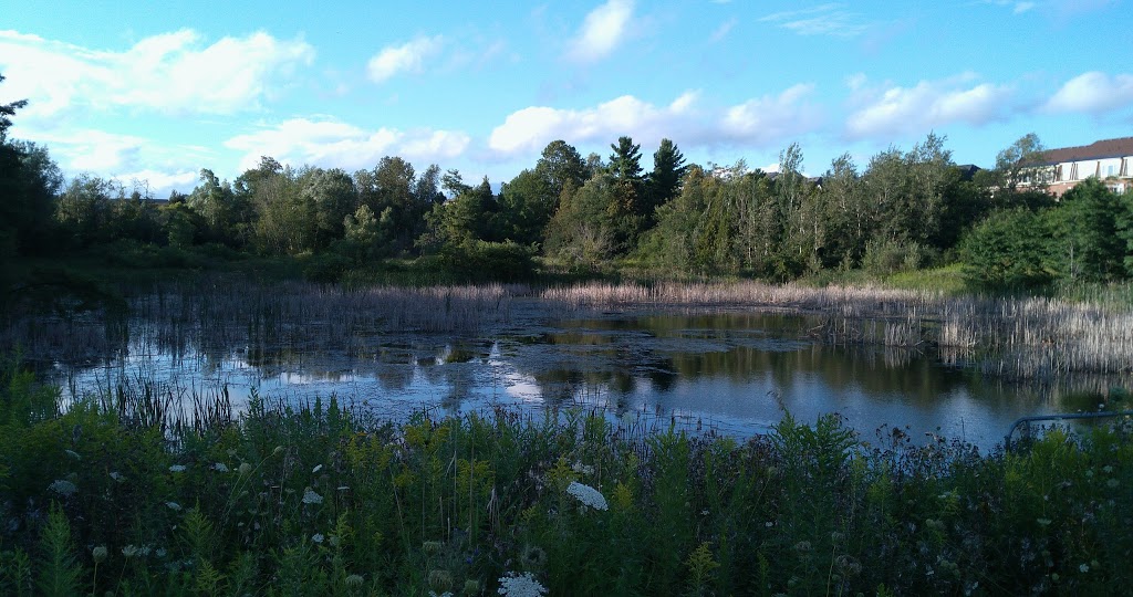 Rouge Crest Park | Rothbury Rd, Richmond Hill, ON L4S 0E2, Canada