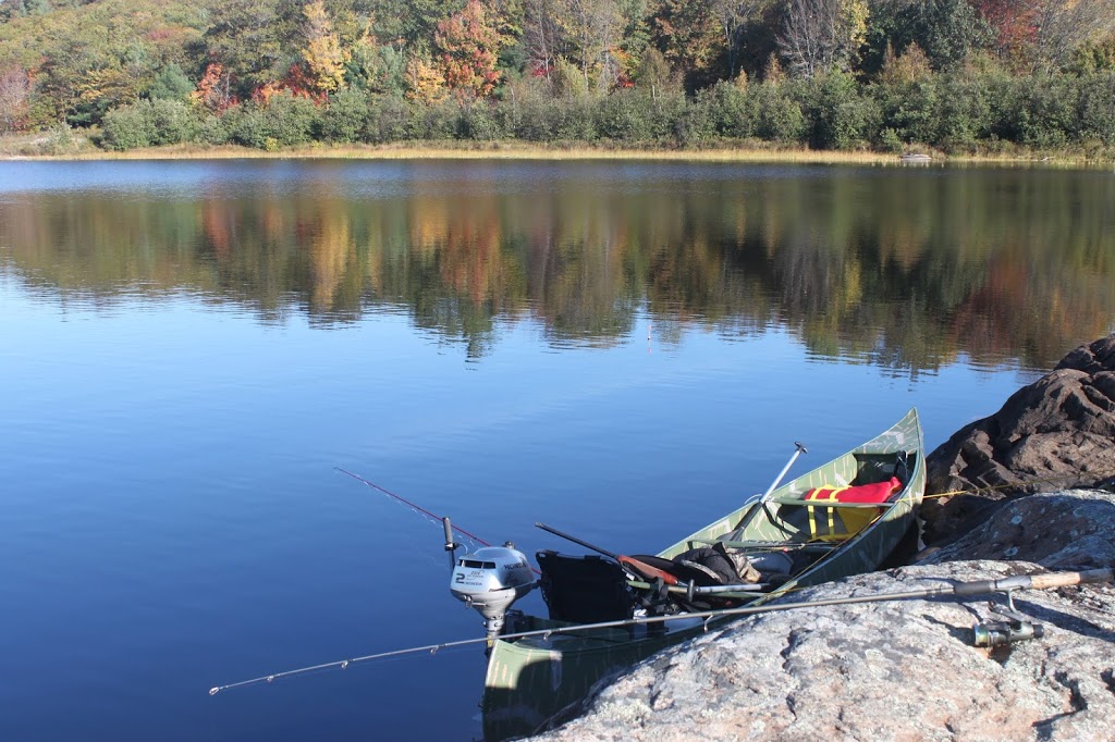 Moon Basin Marina & Cottages | Arnold Bay Rd, Moon River, ON P0C 1H0, Canada | Phone: (705) 375-2288