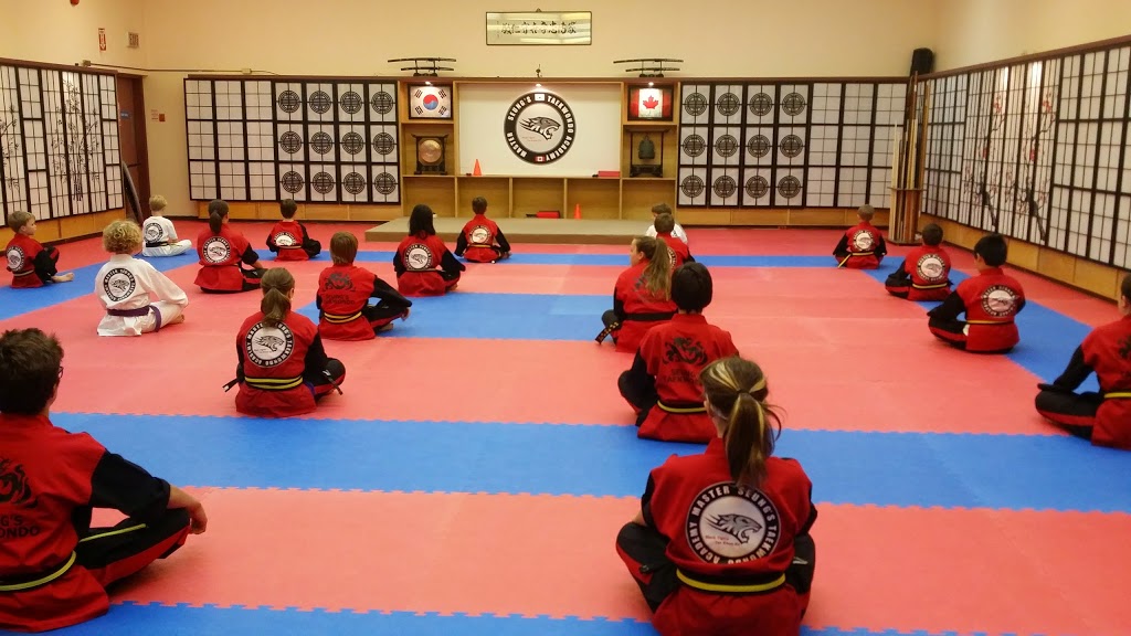 Black Tigers Tae Kwon Do | Needing building, 1001 Emo Dr, Thunder Bay, ON P7C 4W1, Canada | Phone: (807) 622-6833