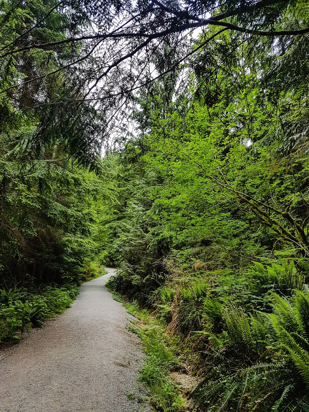 Jug Island Trailhead | Jug Island Trail, Belcarra, BC V3H 4N6, Canada