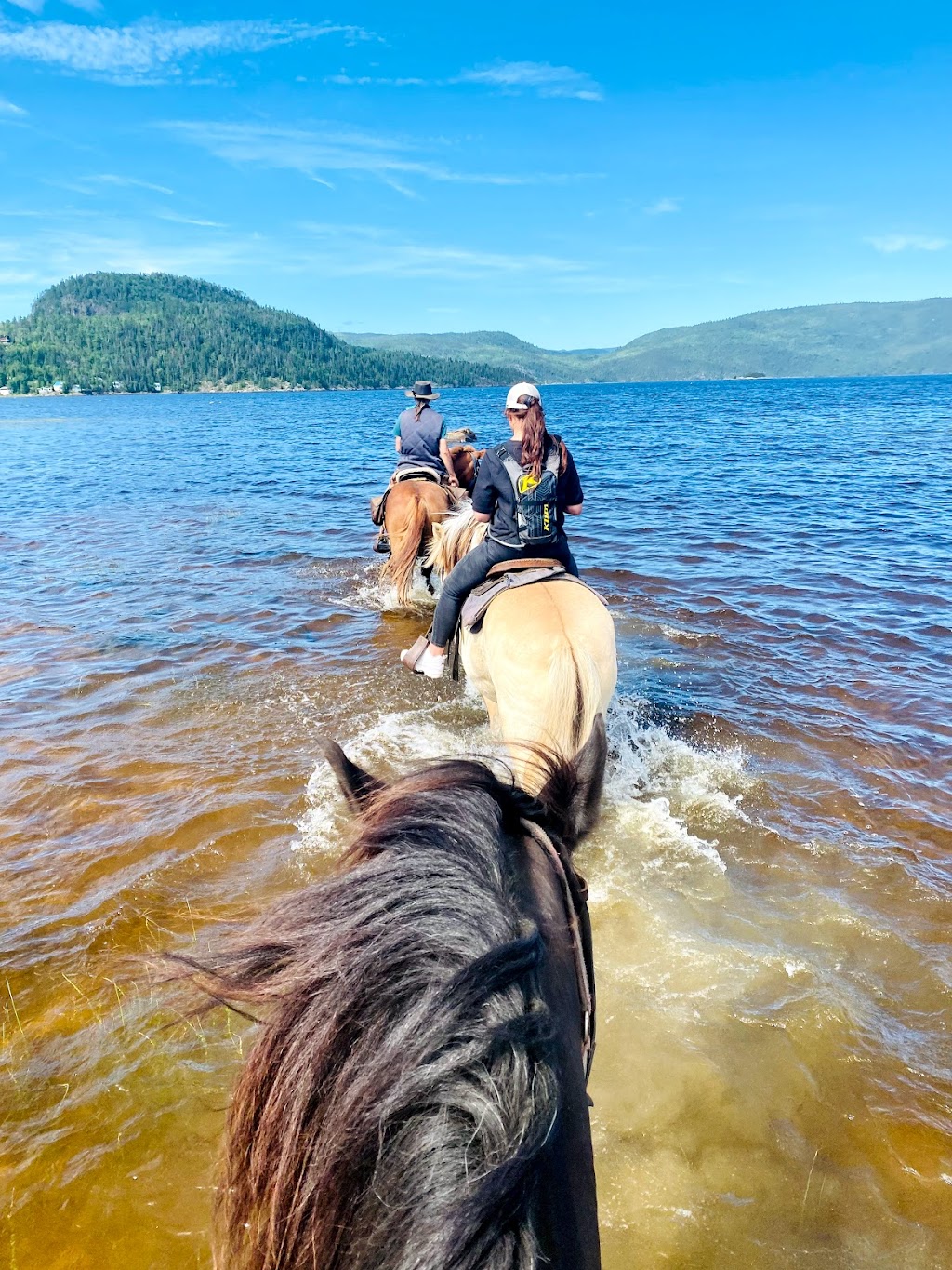 Centre Equestre Des Plateaux | 34 Chem. des Plateaux, LAnse-Saint-Jean, QC G0V 1J0, Canada | Phone: (418) 272-3231