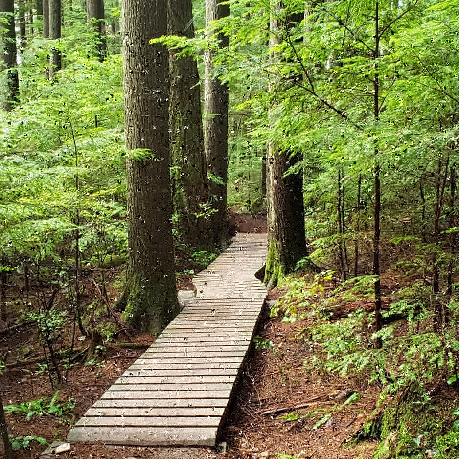 Baden Powell Trail | Baden Powell Trail, North Vancouver, BC V7R 4X4, Canada