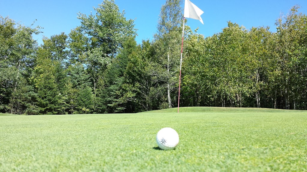 Mountain Golf Club | 1195 Pictou Rd, East Mountain, NS B6L 2N1, Canada | Phone: (902) 893-2841