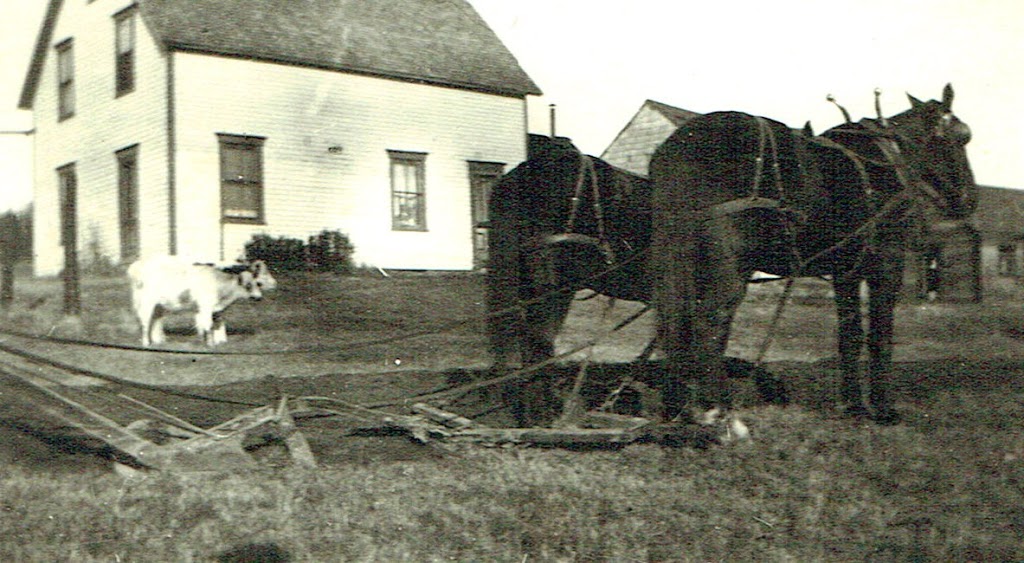 Hon. William Henry Steeves House Museum | 40 Mill St, Hillsborough, NB E4H 2Z8, Canada | Phone: (506) 734-3102