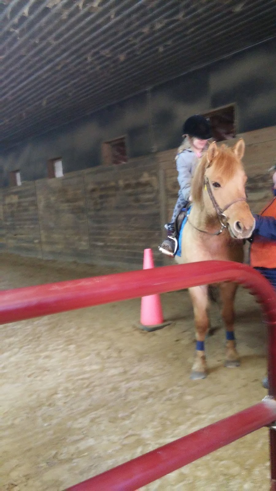 Twisted Willow Equestrian Center | 1255 Dingman Dr, London, ON N6N 1G6, Canada | Phone: (519) 852-8645