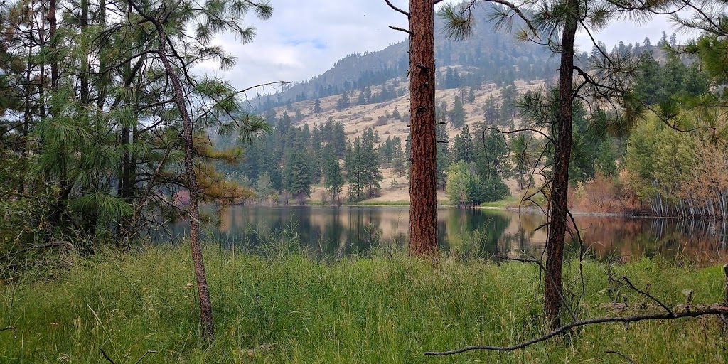 White Lake Grasslands Protected Area | 525 Johnson Crescent, Cawston, BC V0X 1C0, Canada