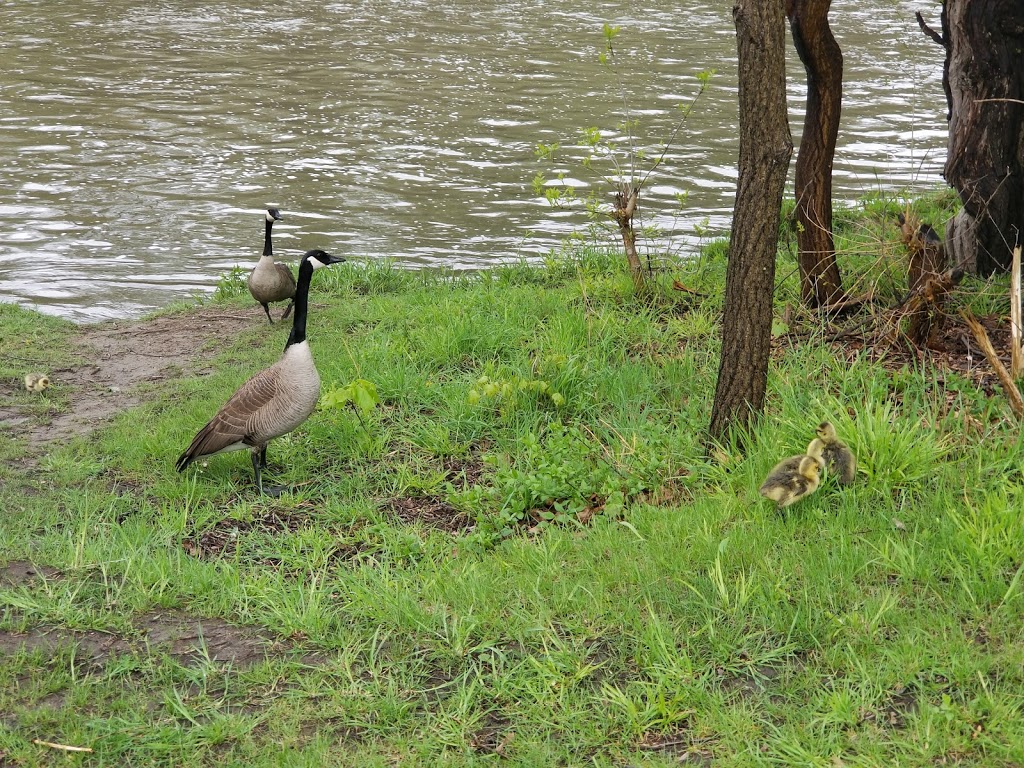 Magwood Park | Lambton Baby Point, Toronto, ON, Canada