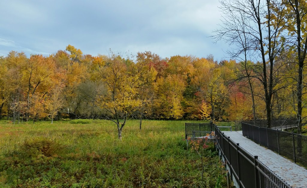 Marais bouthillier | 100 Chemin du Manoir, Rosemère, QC J7A 4R8, Canada