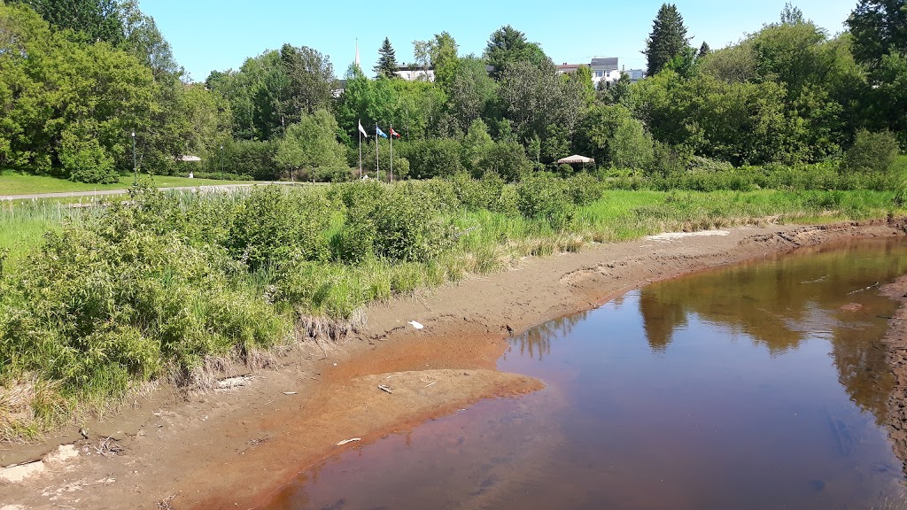 Shawinigan Parc de la Riviere Grand-Mère | 11e Av, Grand-Mère, QC G3T 1P9, Canada | Phone: (819) 538-2358