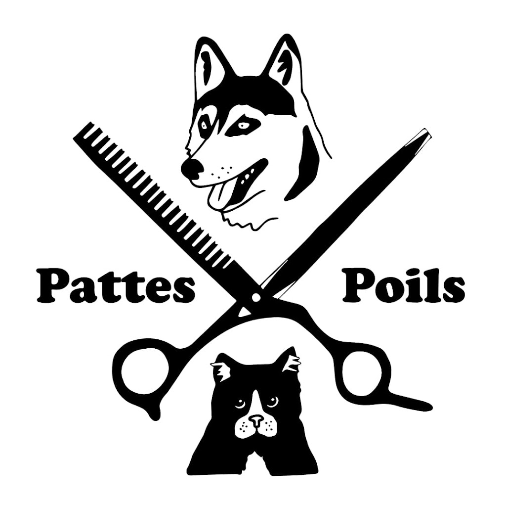 Toilettage Pattes et Poils | 603 Rang 7e, Sainte-Monique, QC G0W 2T0, Canada | Phone: (418) 347-3152