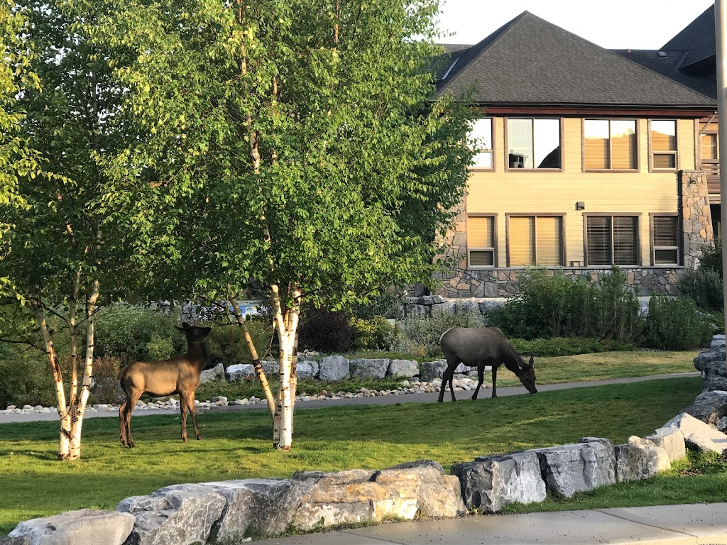 Spring Creek Real Estate | 1309 Spring Creek Gate, Canmore, AB T1W 3K3, Canada | Phone: (855) 678-6066