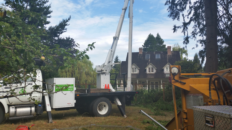 Treeco Tree Service | Coombs, BC V0R 1M0, Canada | Phone: (250) 228-8733