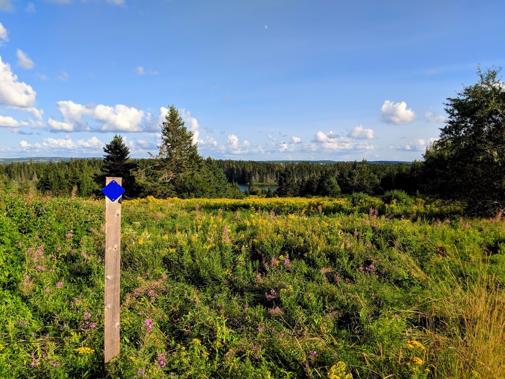 Amherst Point Migratory Bird Sanctuary | QPRX+MW, Nappan, NS B0L 1C0, Canada | Phone: (800) 668-6767