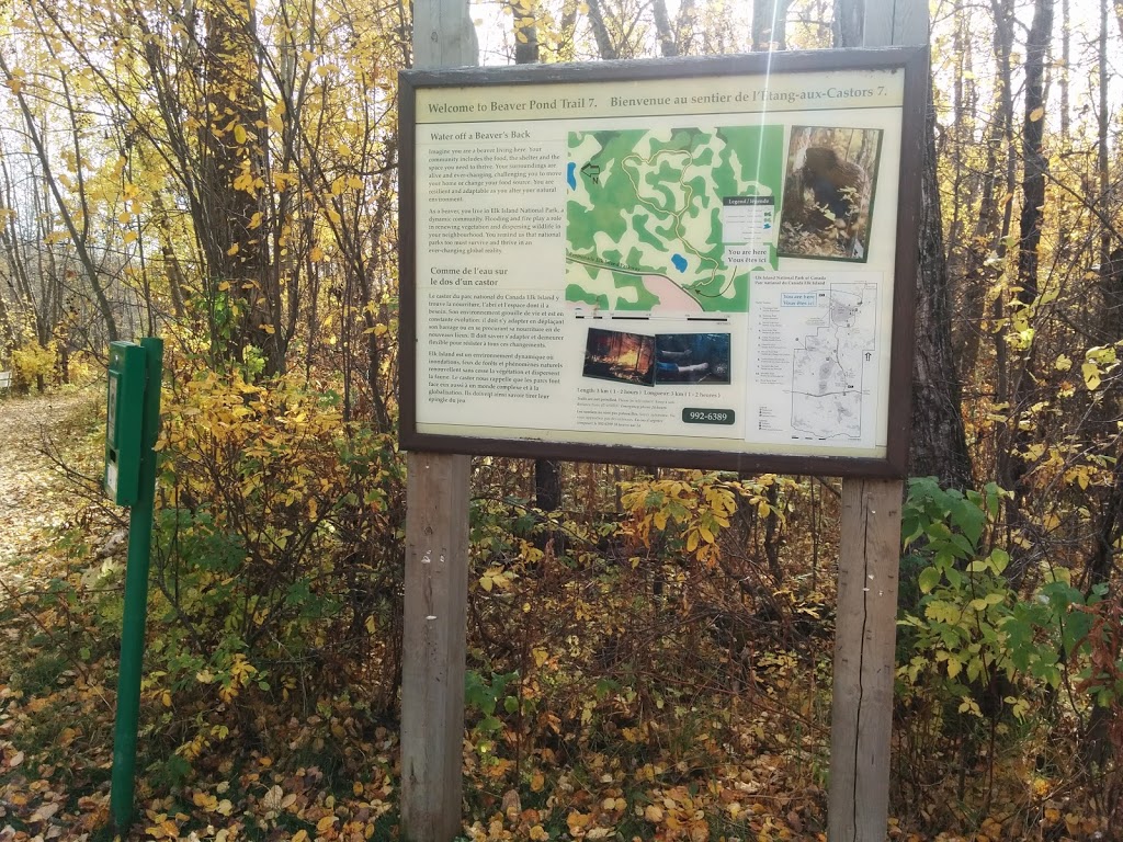 Beaver Pond Trailhead # 7 | Improvement District No. 13, AB T8L 4B6, Canada | Phone: (780) 922-5790