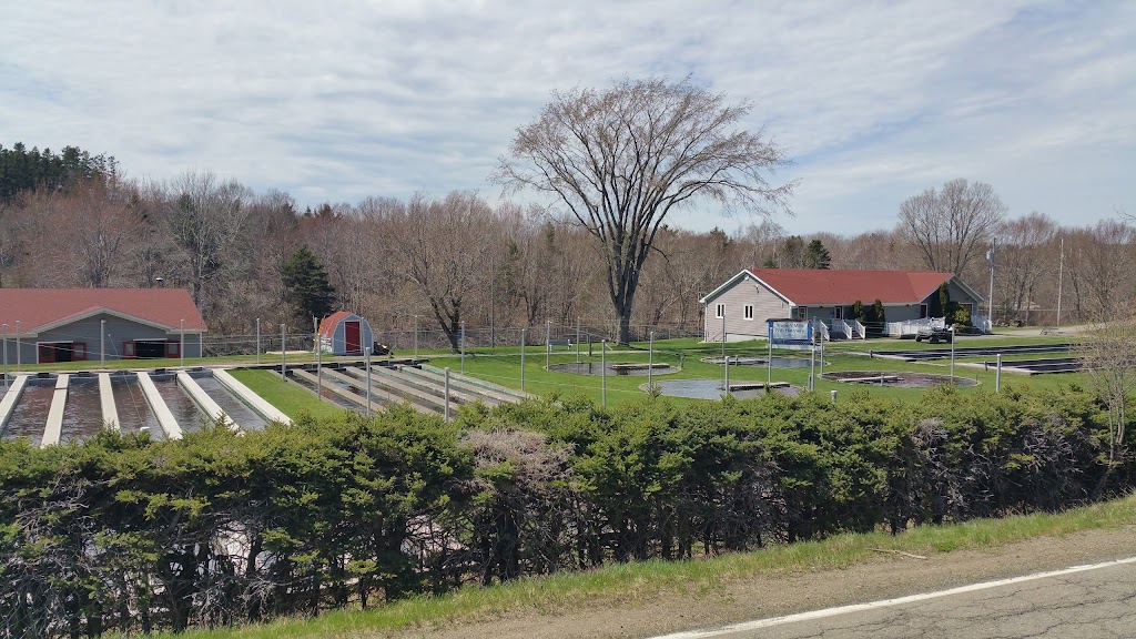 Frasers Mills Fish Hatchery | 1158 Old Pinevale Rd, Saint Andrews, NS B0H 1X0, Canada | Phone: (902) 783-2926