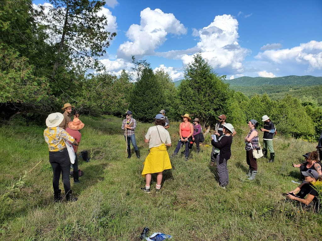 P3 Permaculture | 40 Chem. Mill, Chelsea, QC J9B 1K8, Canada | Phone: (438) 228-5883