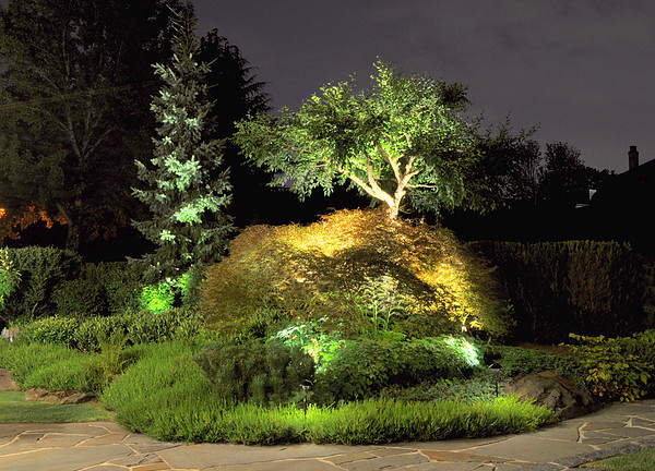 VANCOUVER LANDSCAPE LIGHTING | 18154, Vancouver, BC V6M 4L3, Canada | Phone: (604) 518-8413