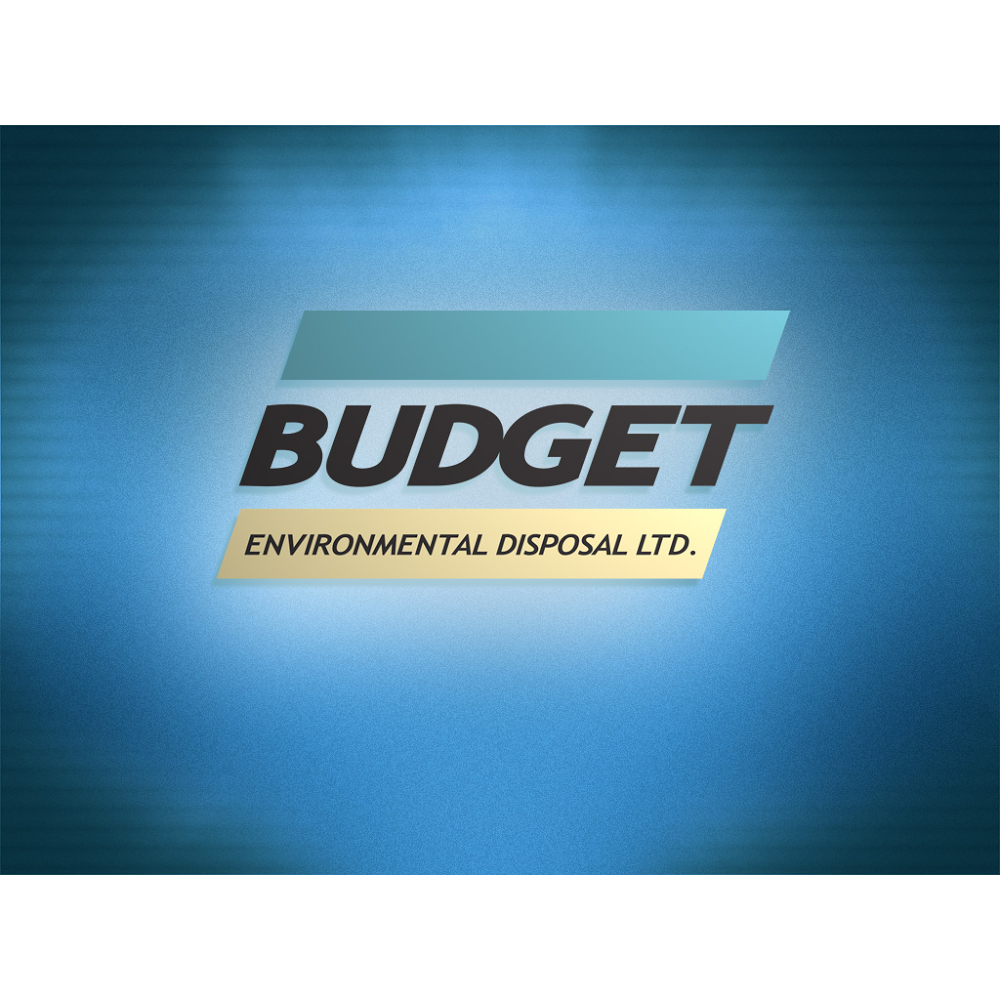 Budget Bin - Bin Rental - Same Day Delivery | 375 Gage Ave N Unit A, Hamilton, ON L8L 7B1, Canada | Phone: (905) 312-9506