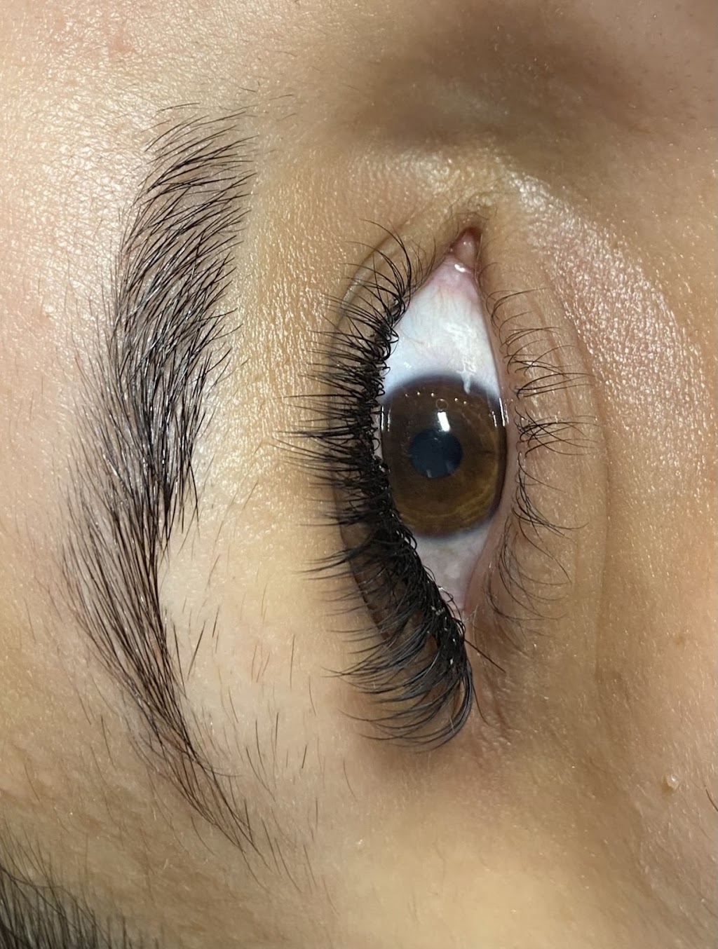 Star lash bar | 5 Brookbanks Dr, North York, ON M3A 2S8, Canada | Phone: (647) 621-8708