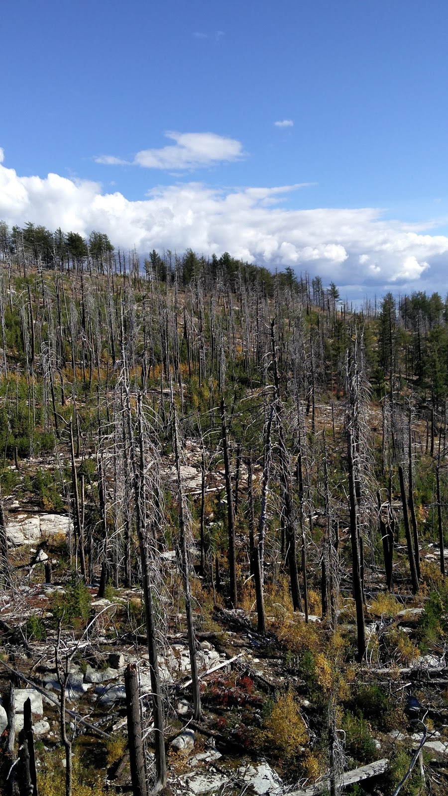 Okanagan Mountain Provincial Park | Lakeshore Rd, Okanagan-Similkameen E, BC V0H, Canada | Phone: (250) 548-0076