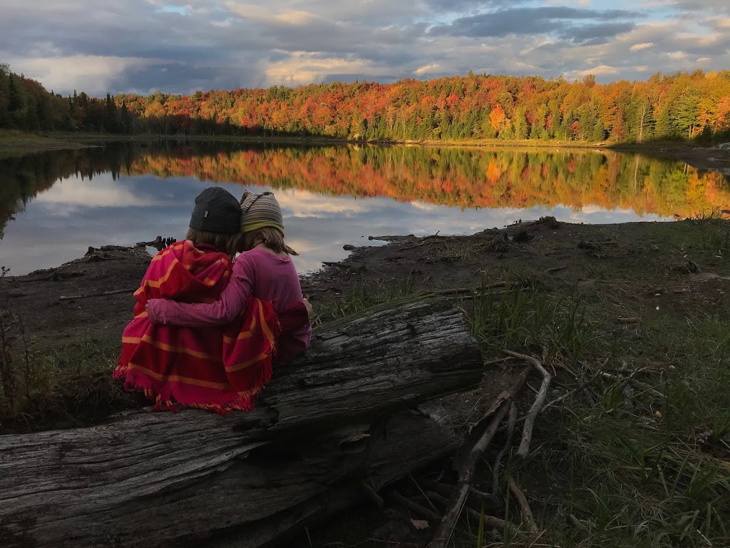 Laö Cabines | 548 Chemin du Grand-Brompton, Racine, QC J0E 1Y0, Canada | Phone: (819) 345-4434