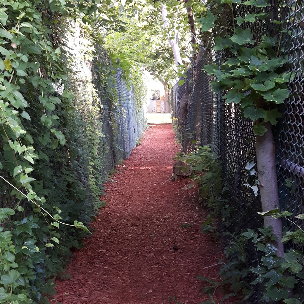 Back Alley Of Rathnelly | Rathnelly, Toronto, ON M4V, Canada