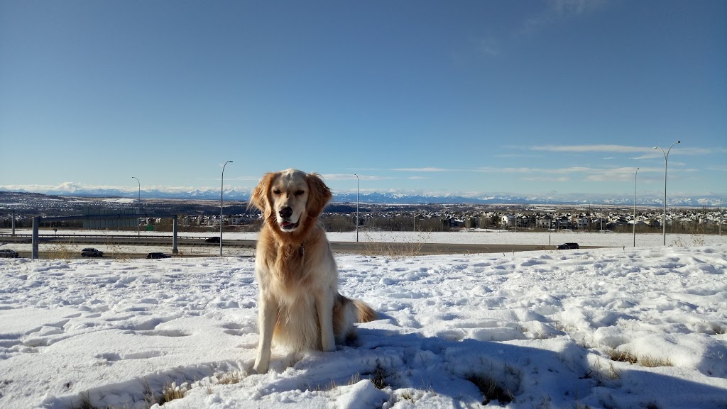 Scenic Acres Park | Calgary, AB T3L 1N4, Canada