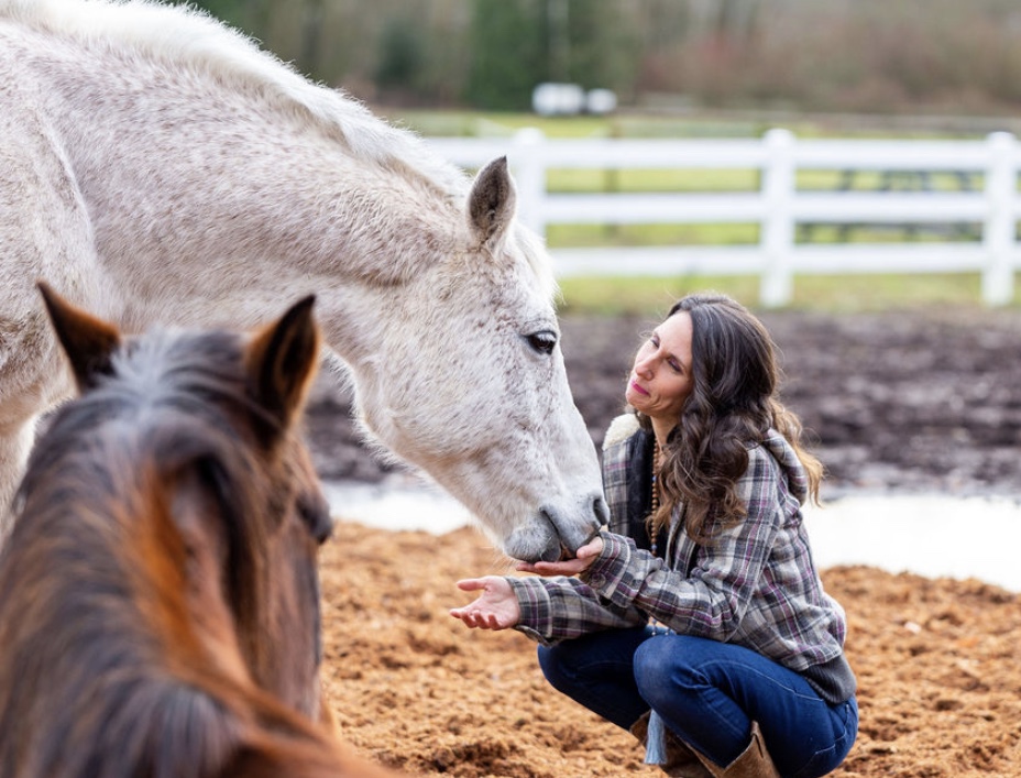 Freedom To Feel & Horse Guided Healing | 2708 210 St, Langley, BC V2Z 2A9, Canada | Phone: (778) 808-3982