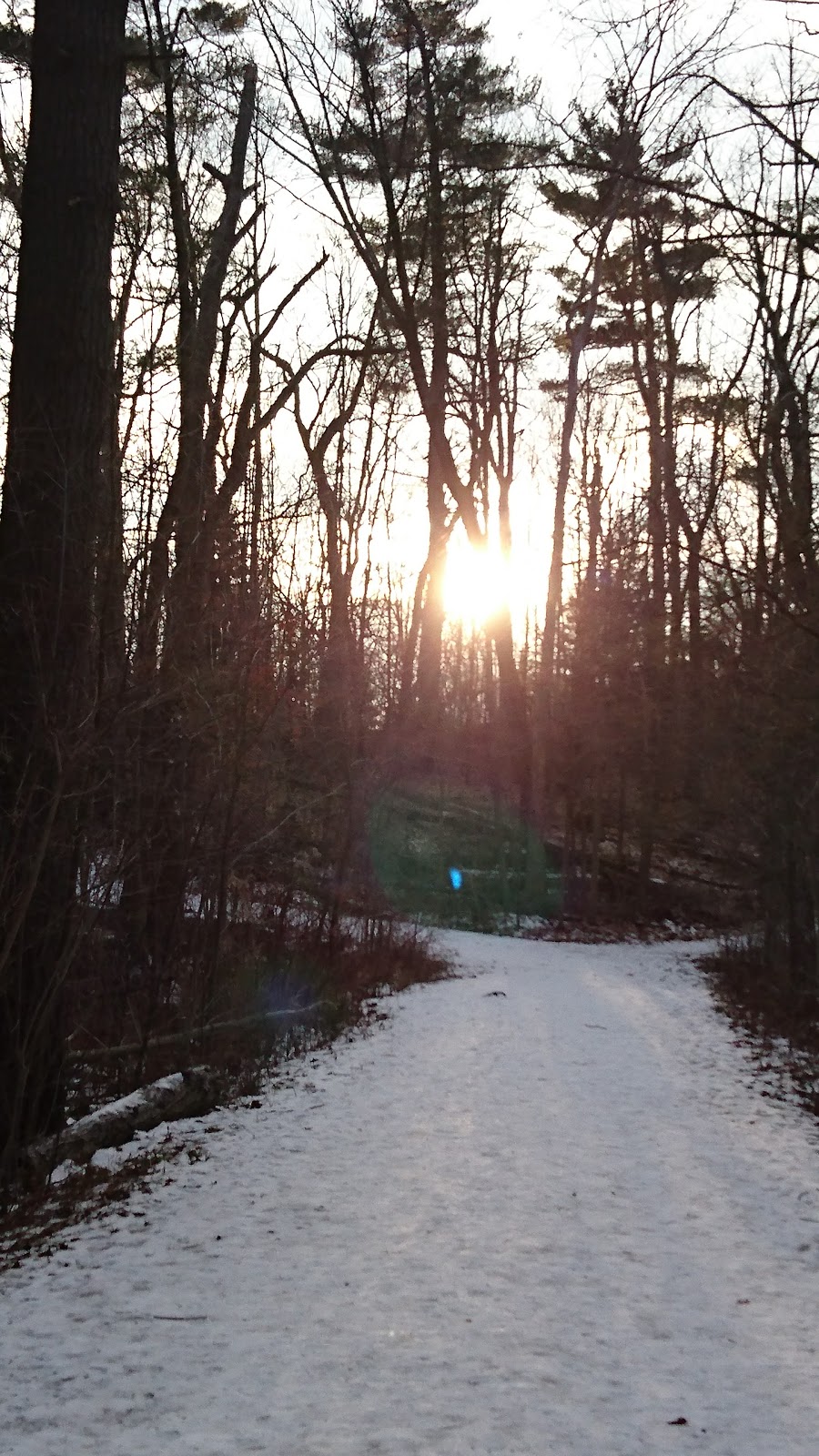 Stavert Park | Richmond Hill, ON L4C 9E3, Canada