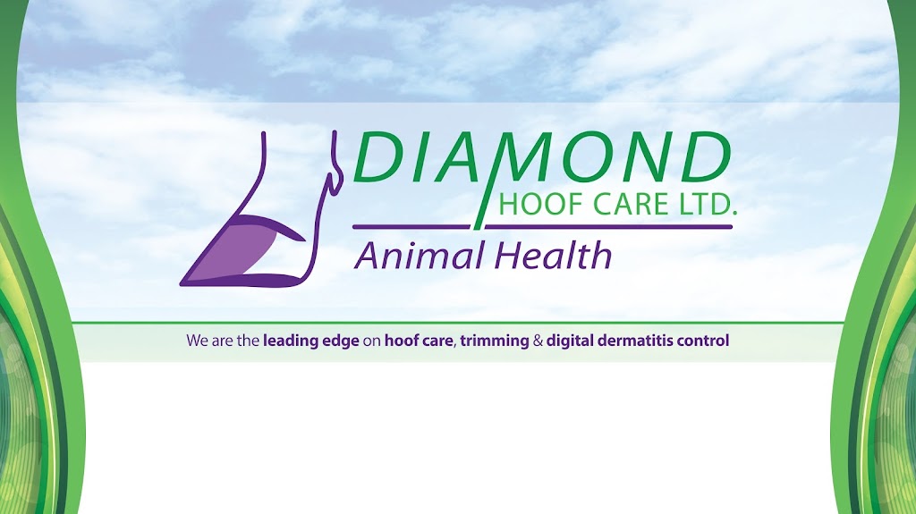 Diamond Hoof Care | 210 Mckechney Ave, Diamond City, AB T0K 0T0, Canada | Phone: (403) 388-4309