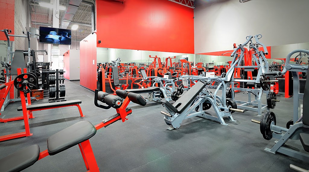 Iron Fitness Strength Club | 9833 Markham Rd #4, Markham, ON L3P 3J3, Canada | Phone: (905) 554-7669