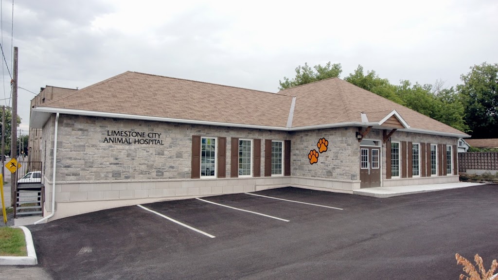 Limestone City Animal Hospital | 70 Cataraqui St, Kingston, ON K7K 1Z7, Canada | Phone: (613) 542-5552