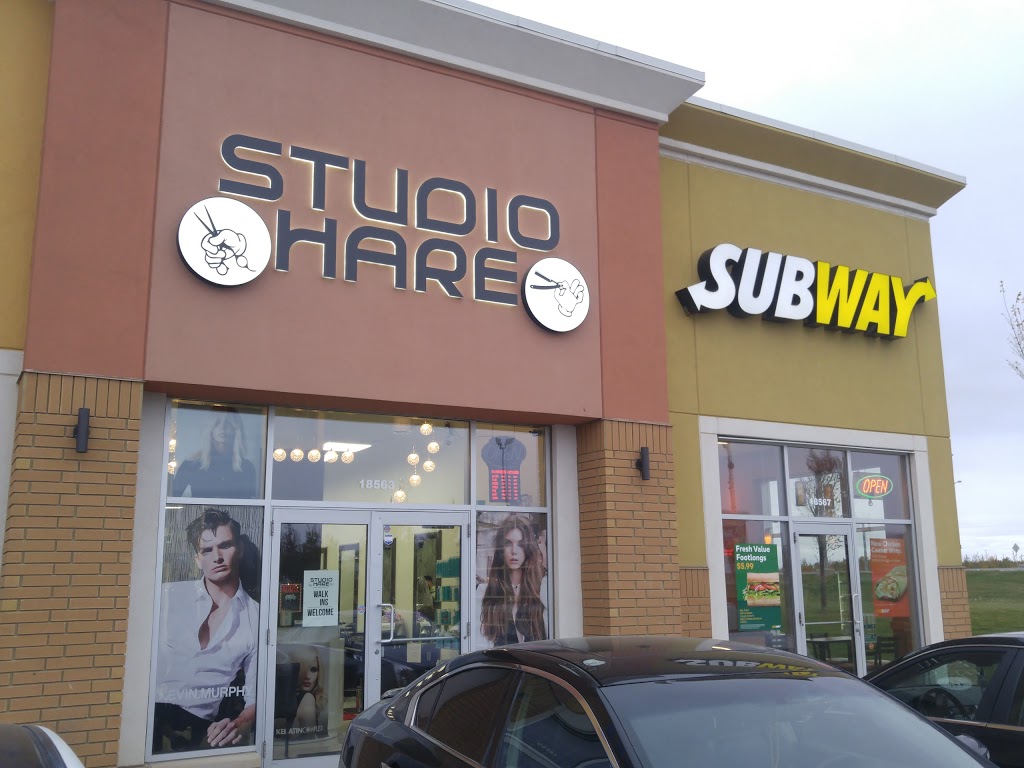 Studio Hare | 18563 Stony Plain Rd, Edmonton, AB T5S 2X6, Canada | Phone: (780) 484-3049