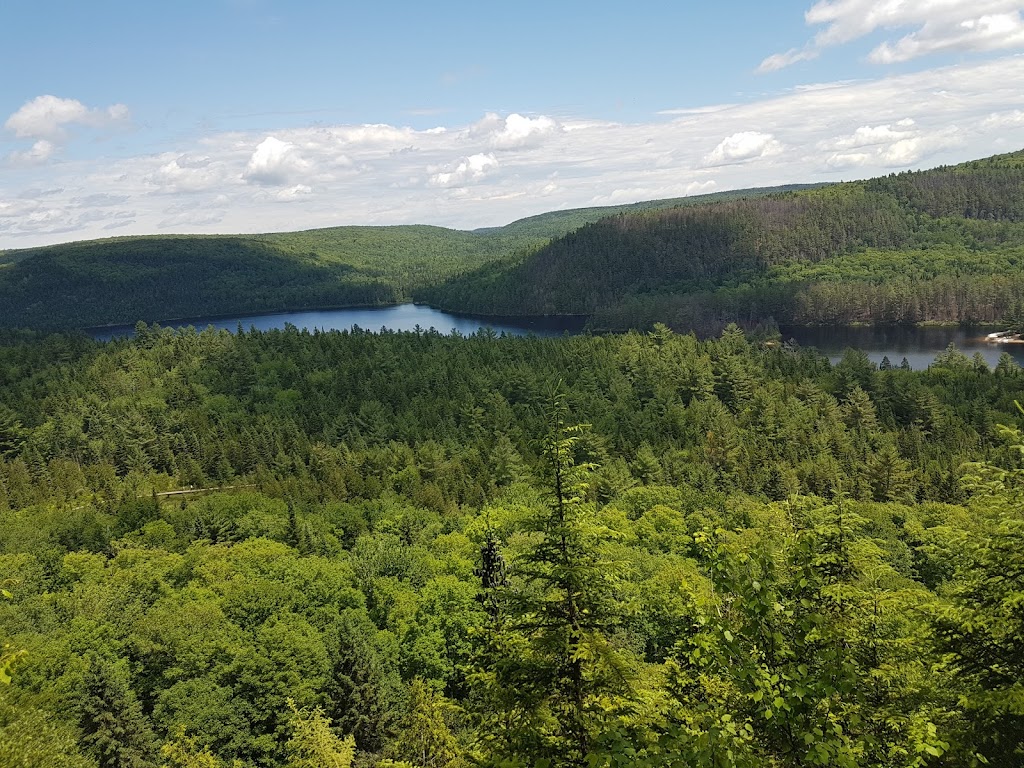 Service DArboriculture Serge | 1270 Chemin St François, Saint-Mathieu-du-Parc, QC G0X 1N0, Canada | Phone: (819) 532-3022